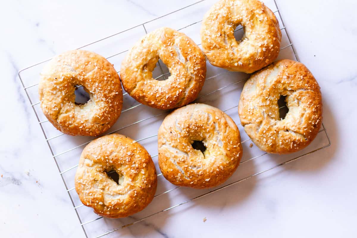 Onion Bagels